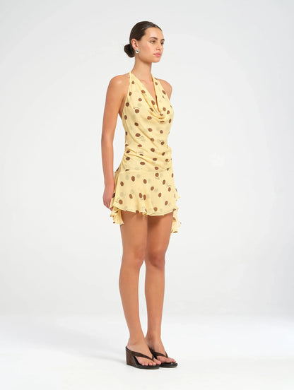 Harlow Mini Dress